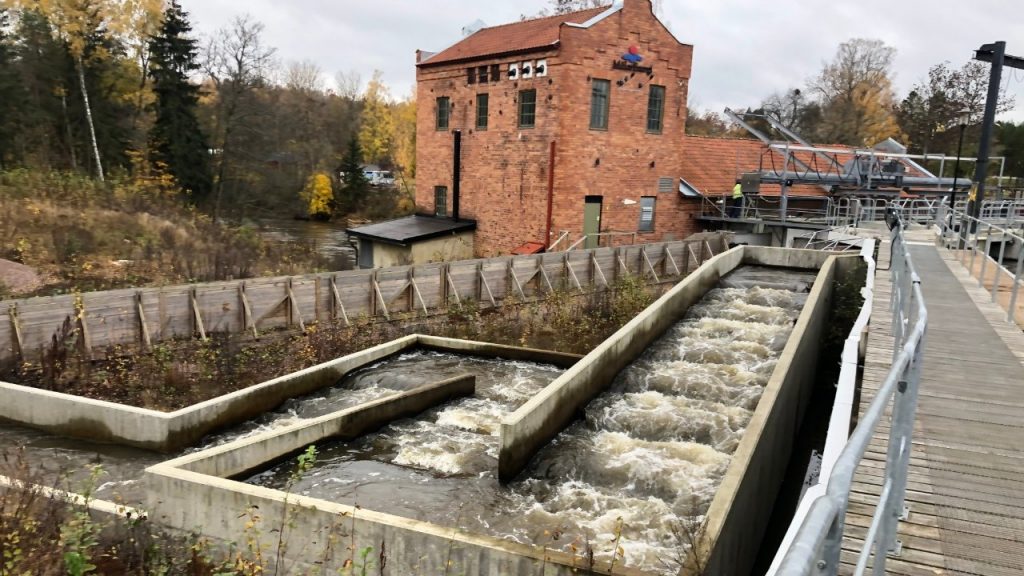 Slitsrännan för uppvandrande fisk